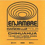 Enjambre en Chihuahua