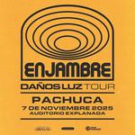 Enjambre en Pachuca