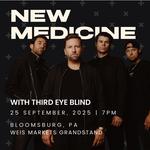 New Medicine with Third Eye Blind