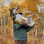 Kestrels // Berserker // Fulfilment // Sometimes Always