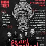 Pearl Handled Revolver Live at Barnoldswick Music & Arts Centre