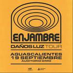 Enjambre en Aguascalientes