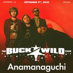 Anamanaguchi: The Buckwild Tour
