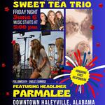 Haleyville 9-1-1 Festival 2025