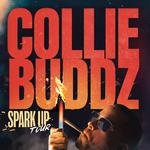 Collie Buddz at England Brothers Park