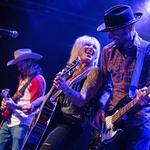 Darci Carlson Band
