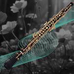 VSO Up Close: Beethoven’s Septet & Mozart’s Oboe Quartet