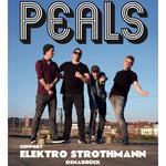 PEALS - Rare Guitar