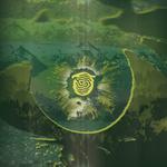 Ylem