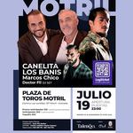Canelita en Motril