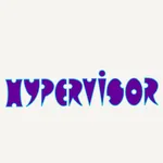 Hypervisor