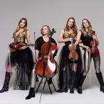 Spinphony Electric String Quartet