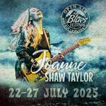 Open Air Blues Festival Brezoi 2025