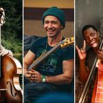 Dharma Rhythms – All About the Bass