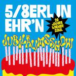 20 Jahre Wiener Soul - Die Jubiläums Show