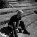 IMMER WIEDER WIRSING