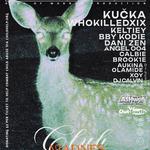 CLUB MADNES