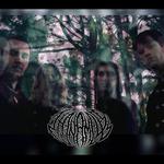 The Nameless Coffs AA Headline Show