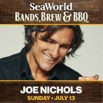 Bands, Brew & BBQ