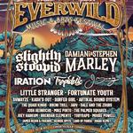 Josh Heinrichs at Everwild Music Fest