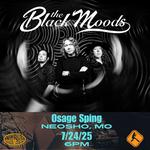 The Black Moods Acoustic