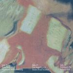 Horse Jumper of Love - Summer Solo Performance & Screening In Conversation with Lance Bangs