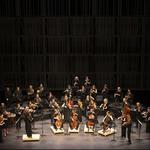 Anima Insight: America!