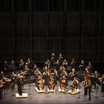 Anima Insight: America!