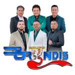 Grupo Bryndis