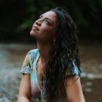 The Jesse Williams Band