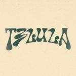 T3LULA supporting The Motet