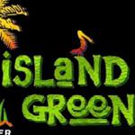 Crack The Sky at Island Green Westminster