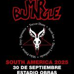 Mr Bungle 