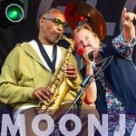 Moonjam på sommerlejr i Marielyst 🏖️💜🌊