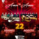 Amor es Amor - Grupo Bryndis ft Liberacion