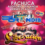 Grupo Bryndis - Pachuca. Hgo.