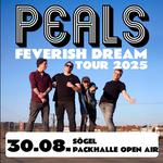 Packhalle Open Air 2025