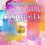 Cornflower @ Rochester NY