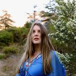 Dashville Skyline 2025