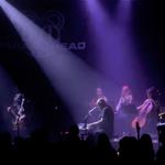 RADIOHEAD tribute par Paranohead et les Cordes Fantastiques