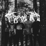Entropic Rot