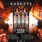 TOHYK HEADLINER