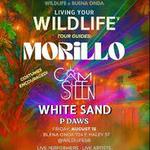 WILDLIFE Presents: Morillo
