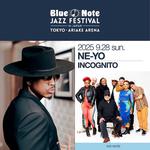 Blue Note Jazz Festival