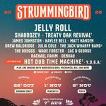 Strummingbird - Perth 2025