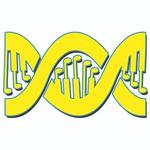 Double Helix, a Steely Dan tribute band