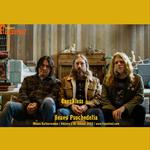 EARTHLESS at Fuzztival