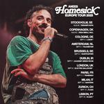 Anees - Dublin