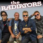 The Radiators at Panthers Bathurst