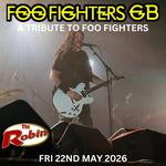 Foo Fighters GB - The Robin, Bilston